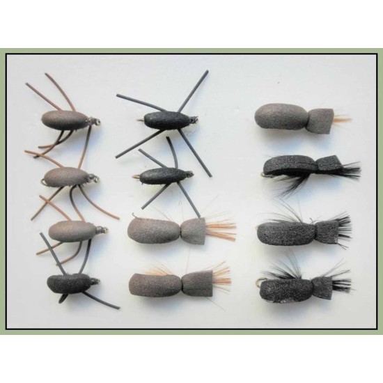12 Beetles, Standard & Gum Beetles
