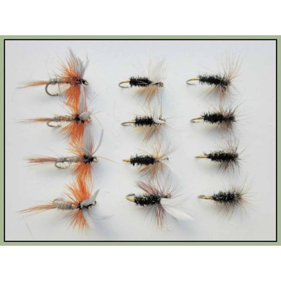 12 Dry Flies - Coachman, Hares Ear &  Coch Y Bondhu