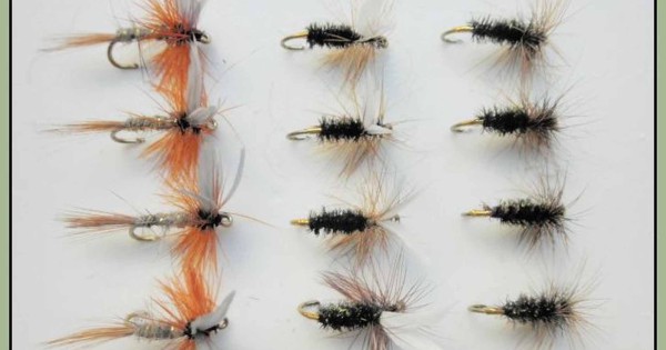 12 Mosche Secche Carrot Trout Flies &ndash; Misure 12/14/16 &ndash; Esche Artificiali Per Pesca A Mosca