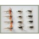 12 Dry Flies - Coachman, Hares Ear &  Coch Y Bondhu