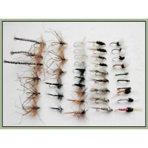 40 Trout Flies, Dry, Nymph and Buzzer Mixed hook size