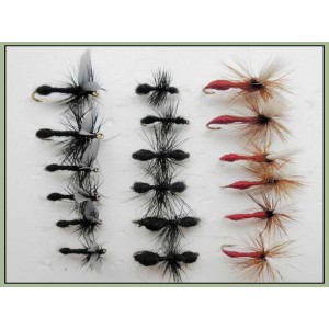 18 Ants Dry Flies - Traditional, Winged, Red Para Ant