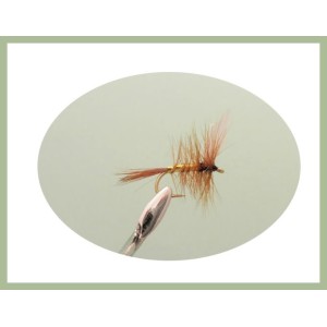 24 Dry Flies in a LARGE Troutflies Silicone Insert Box