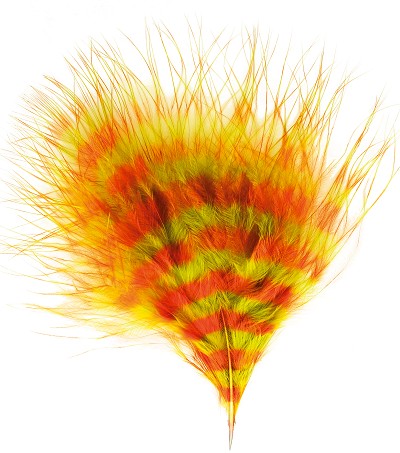 Barred turkey feathers for fly tying -Troutflies UK