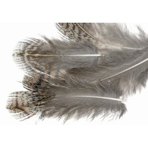 English Partridge Brown Back Hackles 1g
