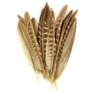 Cock Pheasant Wing Quills