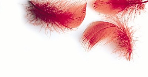 www.troutflies.co.uk