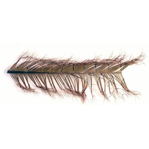 Cock Pheasant Knotted Tail feathers