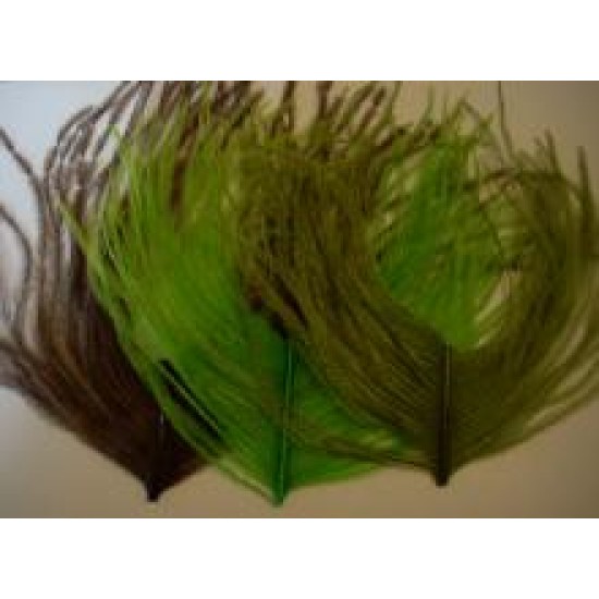 Ostrich herl, mixed colours, fly tying feathers -Troutflies UK