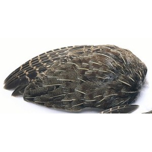 English Partridge Whole Wings