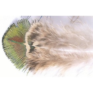 Peacock Gold Body feathers