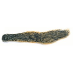 Squirrel Tails Fox-  Natural Barred