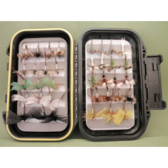 36 Mayflies Boxed Set
