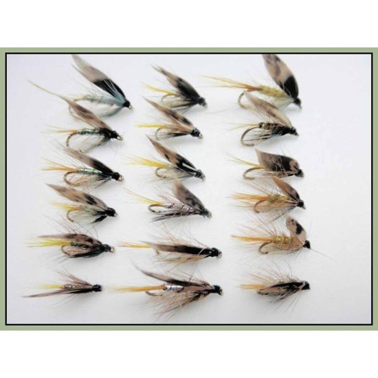 Invicta Wet Trout Flies – 12-Pack, Size 10/12 – Silver & Pearly – For Fly Fishing