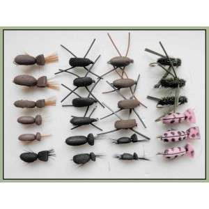 24 Mixed beetles
