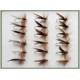 18 Sedge Flies - Silver Olive and Brown