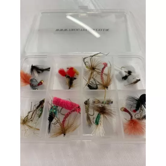 Comp Box - 24 Mixed Flies