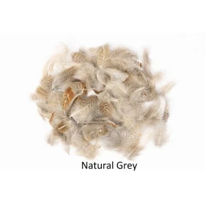 English Grey Partridge Grey Neck THREE GRAMS