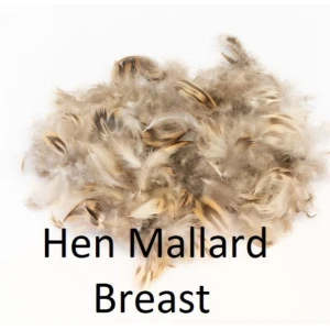 Mallard Hen Flank or Breast