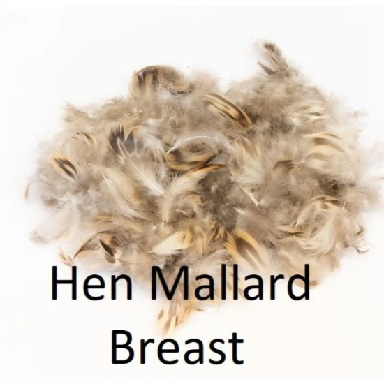 Mallard Hen Flank or Breast