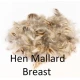 Mallard Hen Flank or Breast