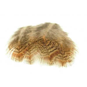 English Partridge Brown Back Hackles 