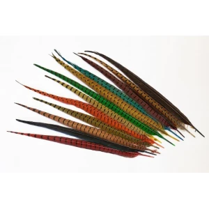 Cock Pheasant Centre Tails Mixed Packet
