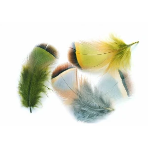 French Partridge Hackles