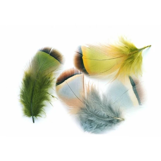 French Partridge Hackles
