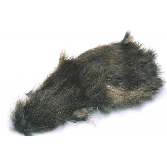 Muskrat Whole Skin