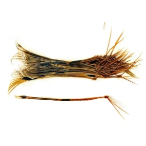 Hopper Legs