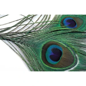 Peacock Eye Top - Natural
