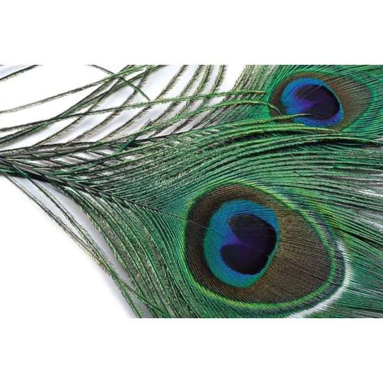 Peacock Eye Top - Natural