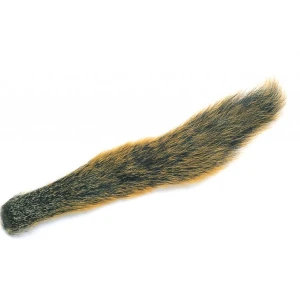 Fox Squirrel Tail 