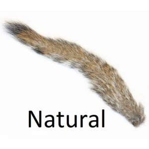 Grey Squirrel Tail
