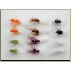 12 BARBLESS Shipman Buzzer - Mixed Colours