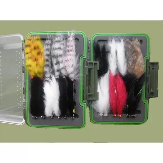 24 Zonkers Double Sided Box