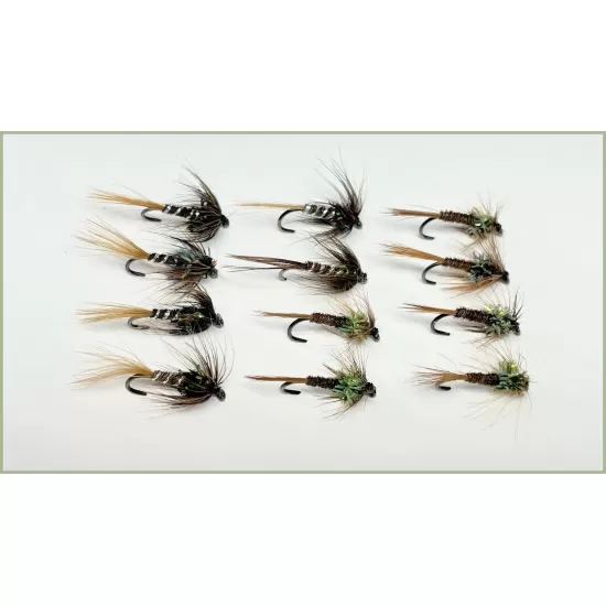 12 BARBLESS Crunchers, Black & Olive