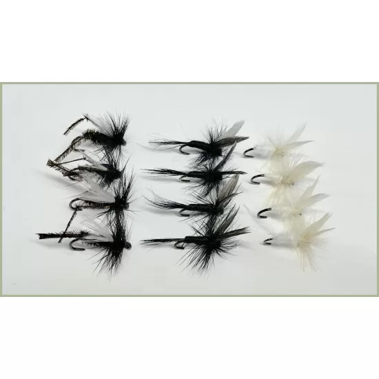 12 BARBLESS Dry Flies - Hawthorn Dry, Black Gnat and Moth
