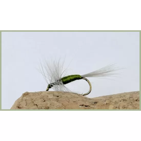 Blue Winged Olive Dun