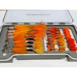 40 Orange Favourites - Boxed set