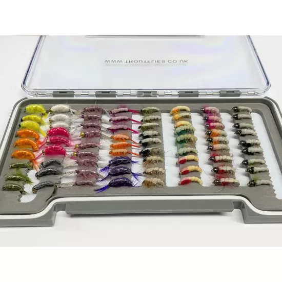 72 Czech, Shrimp and Scud - Boxed Set