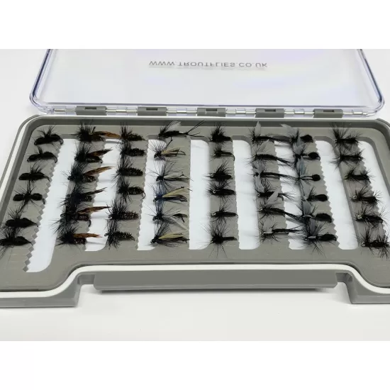 48 Dries - Black Flies