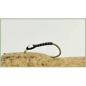 White Dot Quill Buzzer