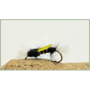 Black Biot Shipman Buzzer