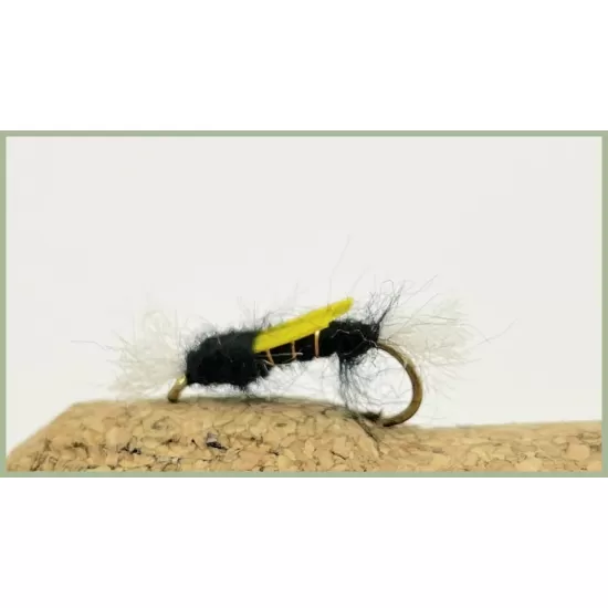 Black Biot Shipman Buzzer