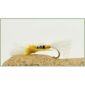 Orange Biot Shipman Buzzer