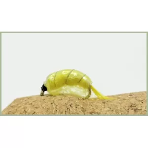 Yellow Scud - Unweighted