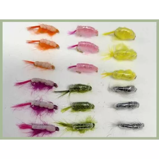 18 Unweighted Scud and Shrimp