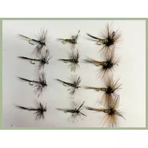 18 Greenwell Dry Flies - Winged, Grey Hen, Grey Hen Variant